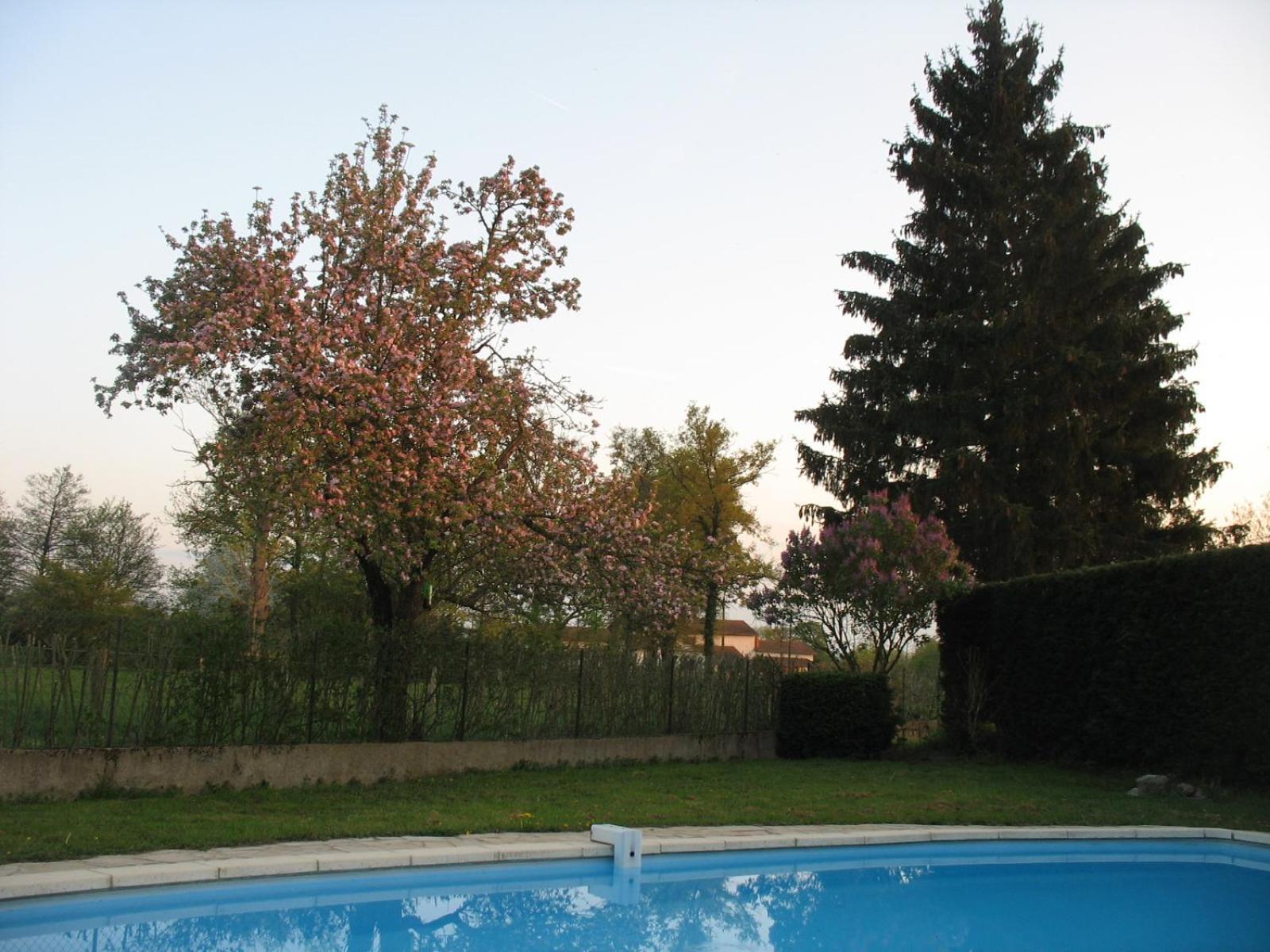 Appartement La Ferme Du Nizon à Valeille Extérieur photo